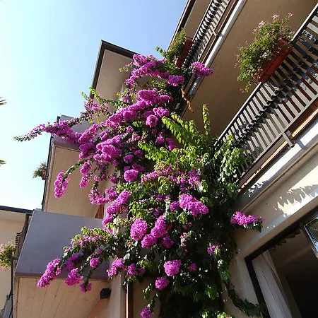 Hotel Park Faver 3*